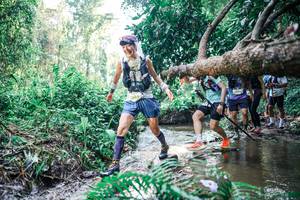 BIB: 
                            <button type="button" onclick="openModal(25459996)" class="btn btn-primary btn-sm float-right btn-popup" data-toggle="modal" data-target=".modal-high-quality">
                        <i class="fas fa-shopping-cart"></i> Add to Cart
                    </button>
                                            <button type="button" onclick="isThisMe(25459996, true)" class="btn btn-success btn-sm float-right btn-popup btn-isme hidden" data-toggle="tooltip" data-placement="bottom" title="นี่คือรูปของคุณใช่ไหม คลิกที่นี่เพื่อเอาเข้าอัลบั้ม">
                        <i class="fas fa-plus"></i> Add to album
                    </button>
                    <button type="button" onclick="isThisMe(25459996, false)" class="btn btn-warning btn-sm float-right btn-popup btn-isnotme hidden">
                        <i class="fas fa-ban"></i> Remove from album
                    </button>